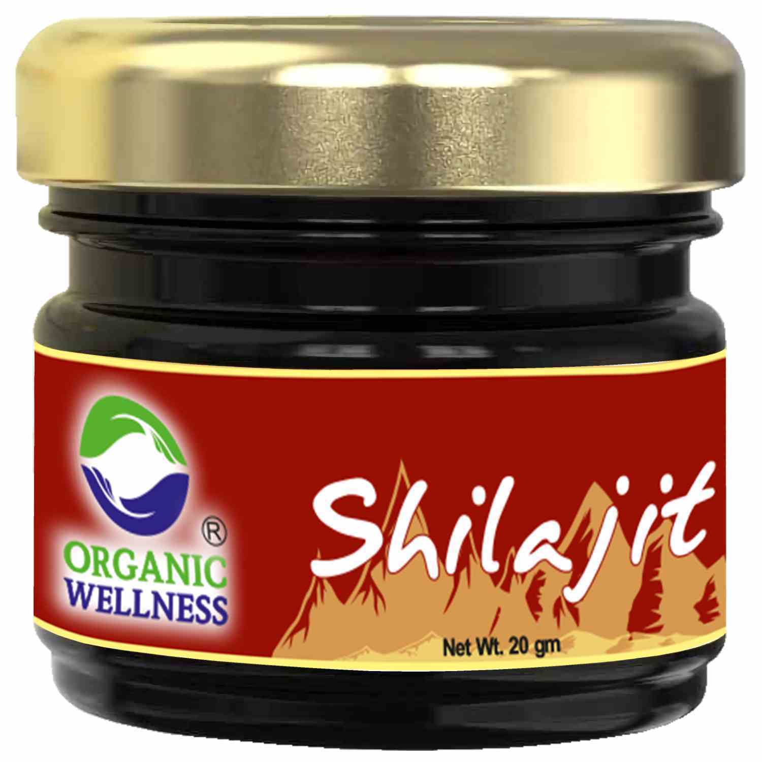 Shilajit 20gm