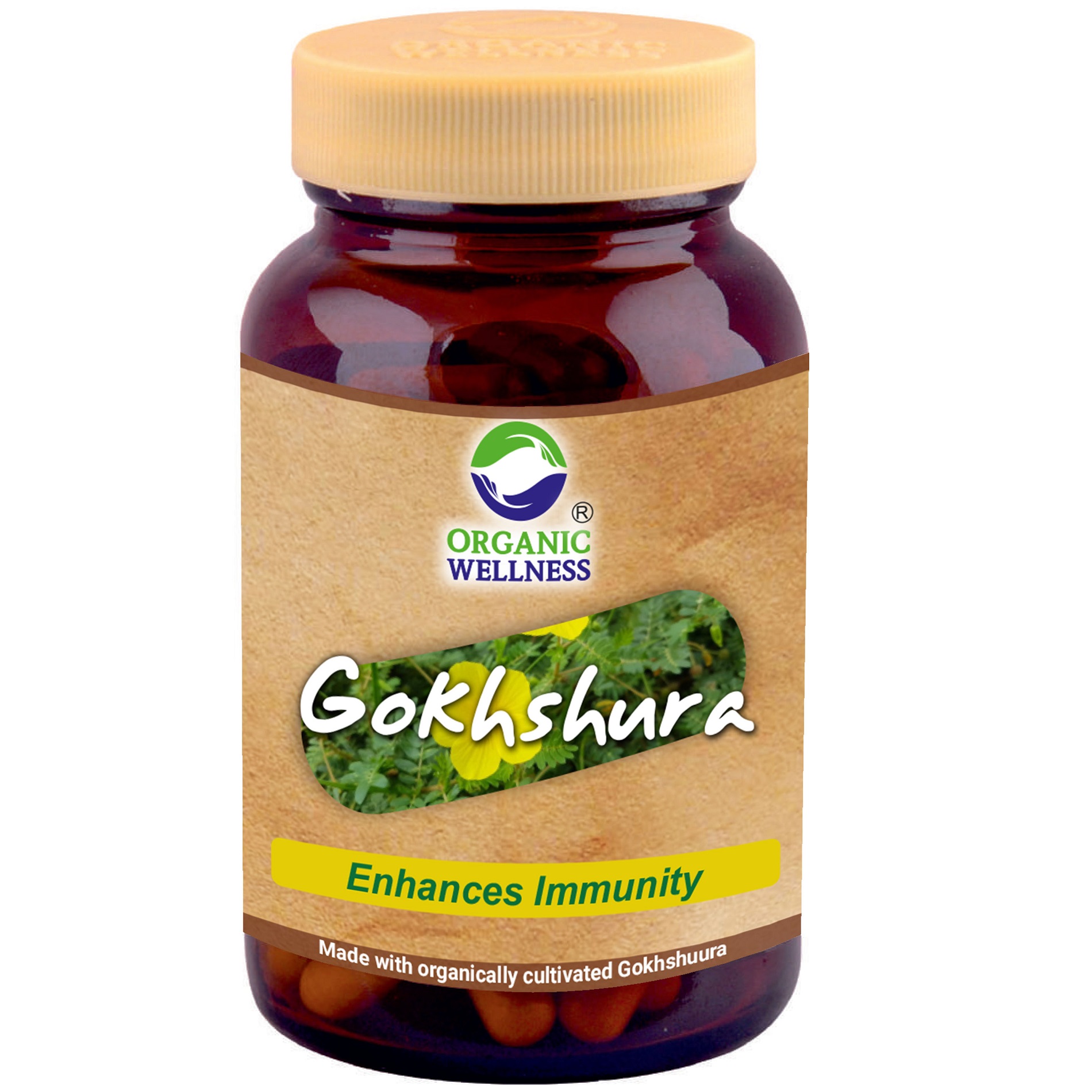 Gokhshura